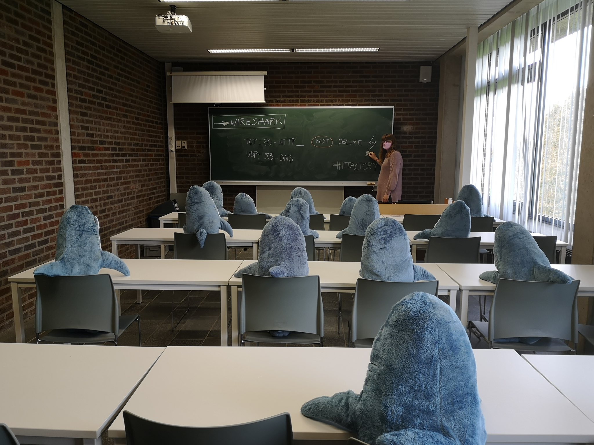 Picture of a classroom with the teacher addressing a room full of plush shark toys